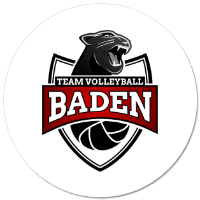 Logo TV Baden