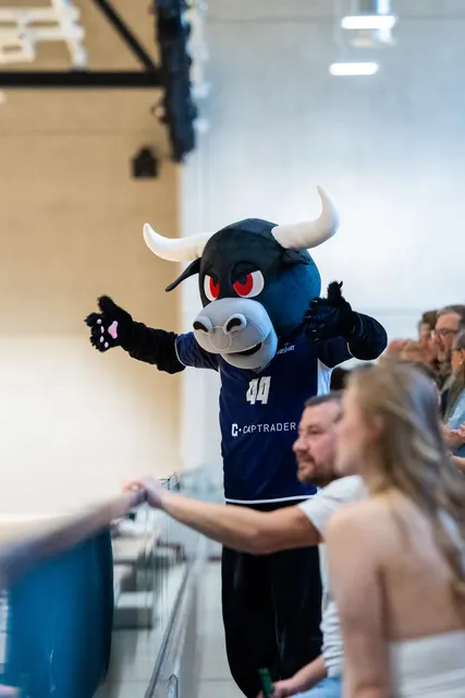 maskottchen fans